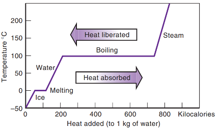 Heat vs. Temperature and State of Matter for Water